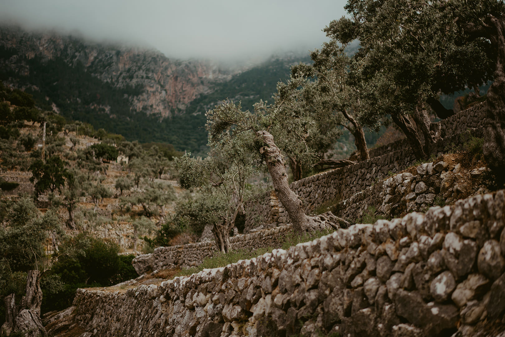 majorca wedding photographers